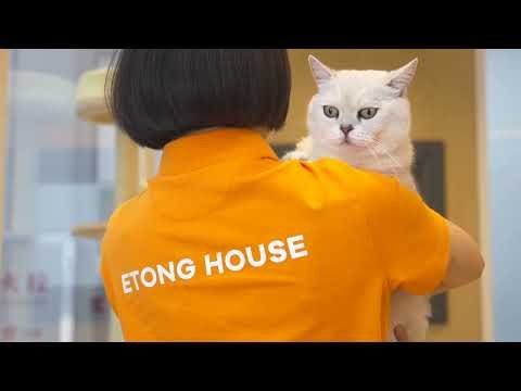 ETONG company introduction